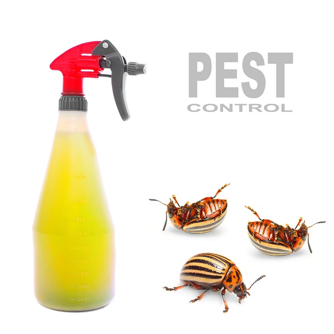 Pest Control Is A Great Help To Keep Your Home and Offices Clean