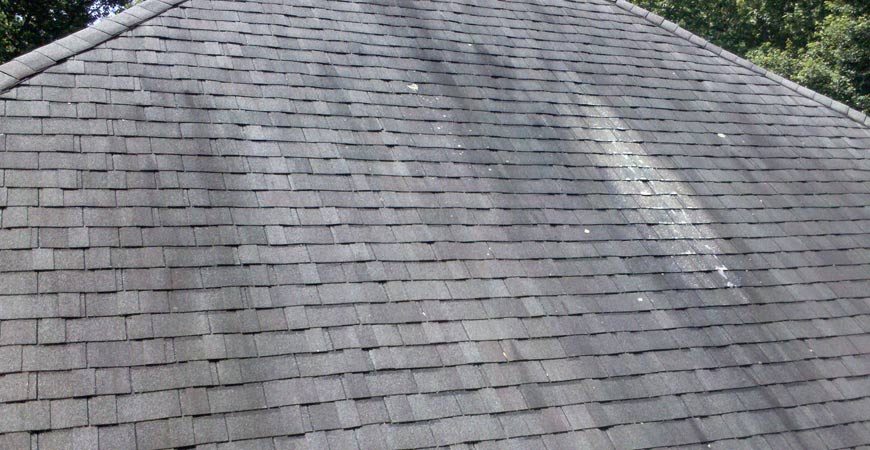 Have Clean Roof by Preventing The Formation Of Black and Red Algae