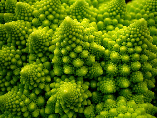 Using Fractals with Bcapital