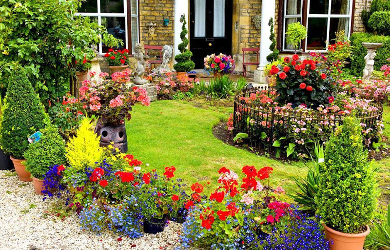 Advantages Of Gardening For Mental and Physical As Well As Environment Health