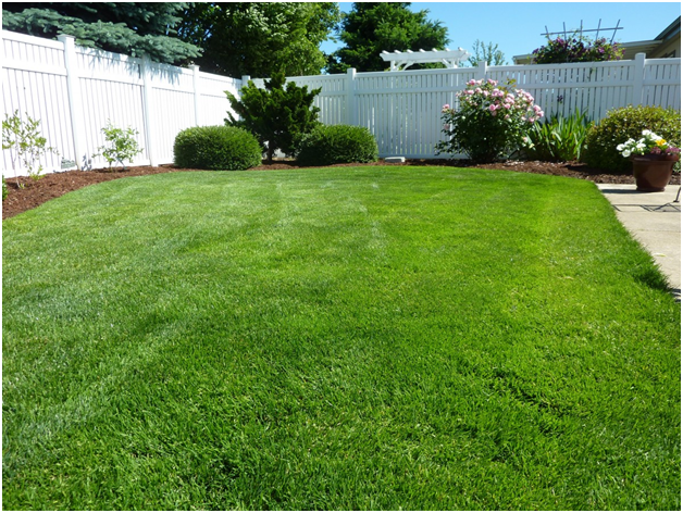 Things To Know - 5 Uses Of Synthetic Turf In Your Home