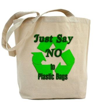 Reusable vs. Conventional Plastic Bag - Fiction & Fact Revealed